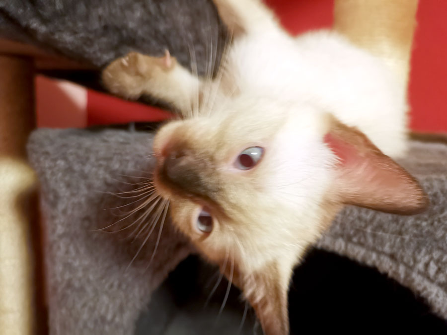 Miley in ihrer Jugendzeit