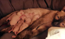 bild3