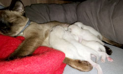 bild2