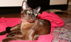 bild2