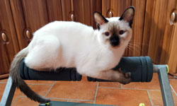 bild4