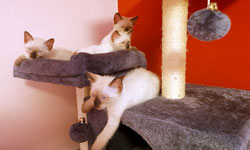 bild3