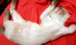 bild3