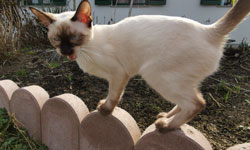 bild2